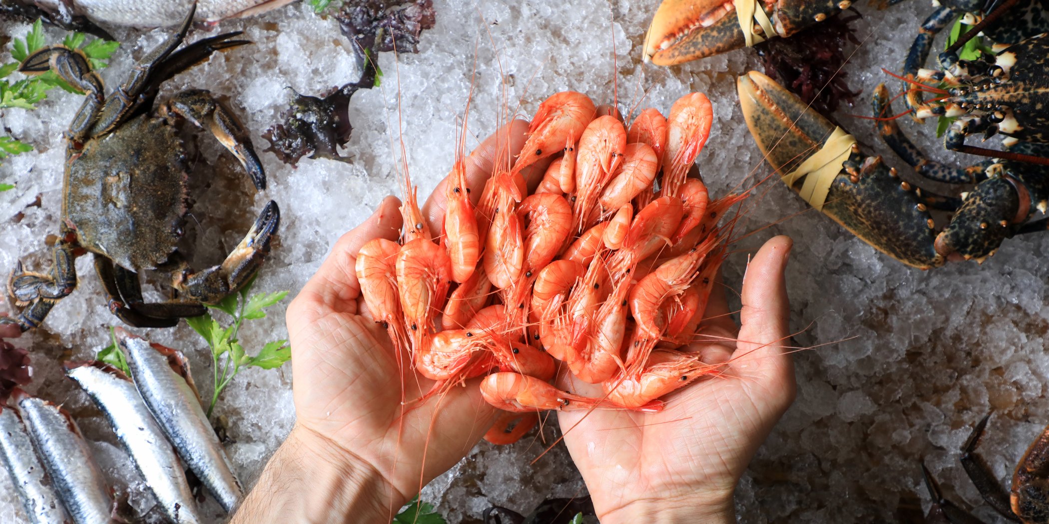 A handful of fresh tiger prawns grabbed from a fishmonger's freezer, surrounded by crabs, lobster and small fish